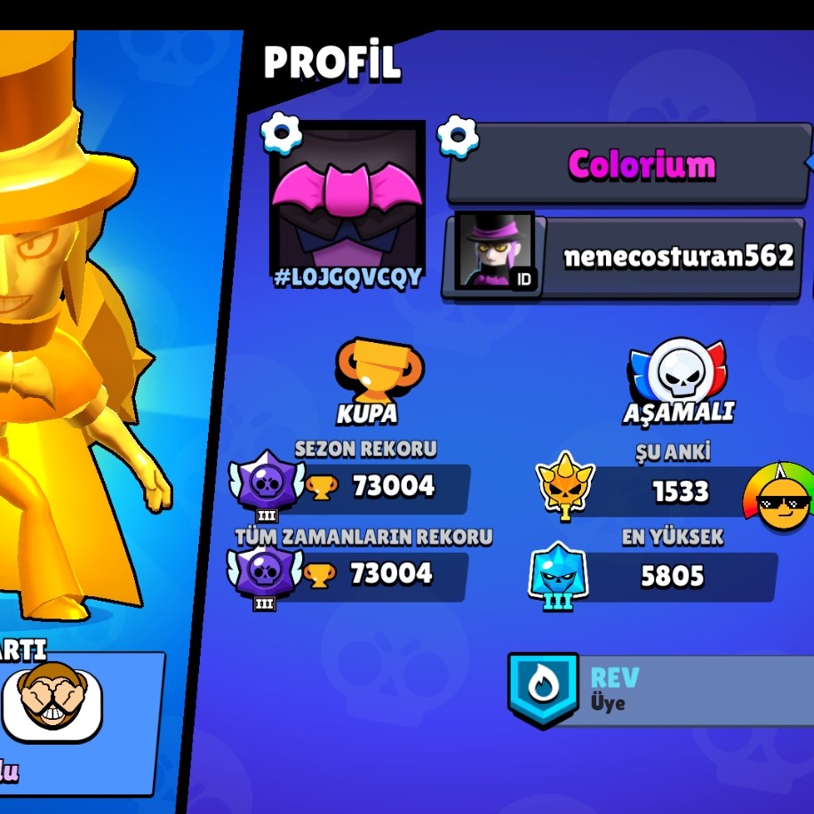 73K KUPALI BRAWL STARS HESABI