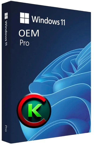 Windows 11 Pro OEM Dijital Lisans Anahtarı