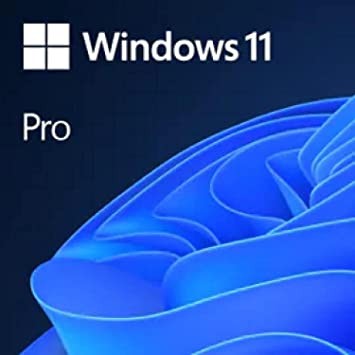 Windows 11 Pro OEM Lisans Anahtarı